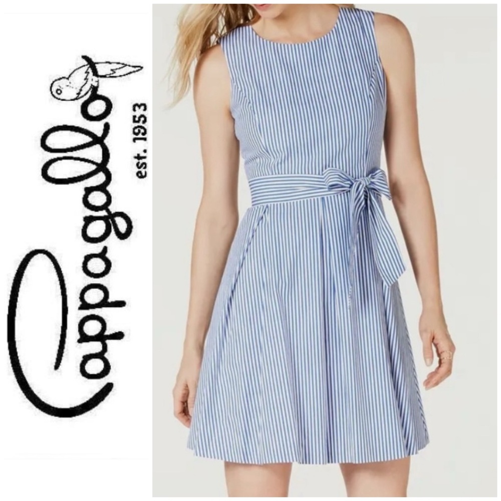 Pappagallo Blue & White Striped Dress 10